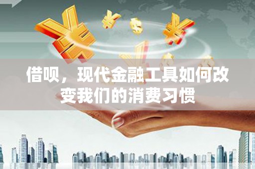 新园借呗，现代金融工具如何改变我们的消费习惯