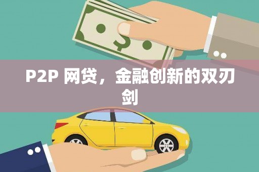 新园P2P 网贷，金融创新的双刃剑