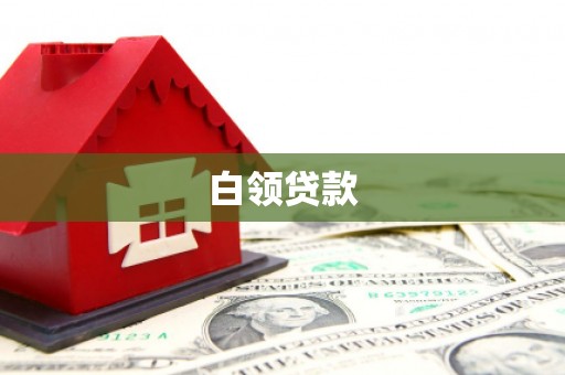 新园白领贷款