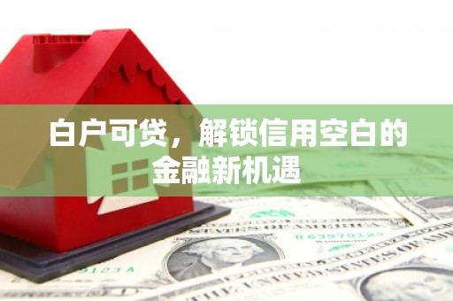 新园白户可贷，解锁信用空白的金融新机遇
