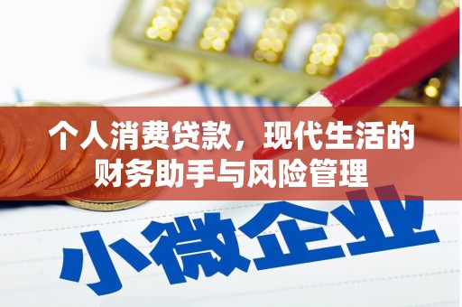 新园个人消费贷款，现代生活的财务助手与风险管理