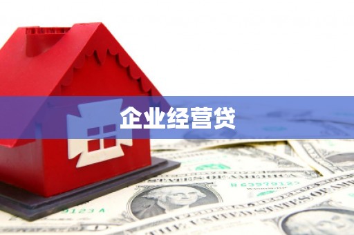 新园企业经营贷
