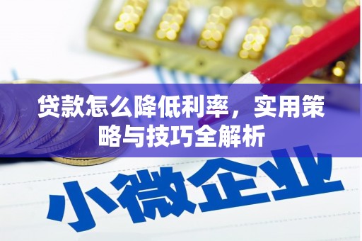 新园贷款怎么降低利率，实用策略与技巧全解析