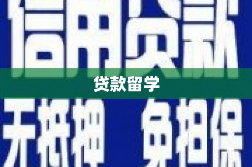新园贷款留学