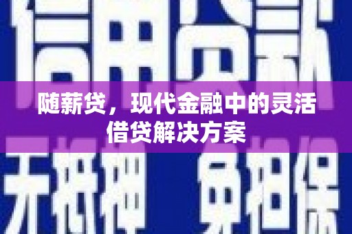 新园随薪贷，现代金融中的灵活借贷解决方案