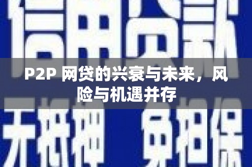 新园P2P 网贷的兴衰与未来，风险与机遇并存