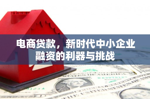 新园电商贷款，新时代中小企业融资的利器与挑战