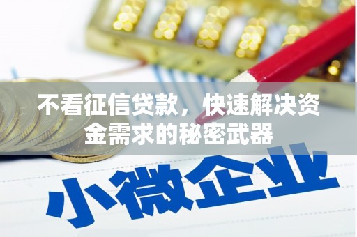 新园不看征信贷款，快速解决资金需求的秘密武器