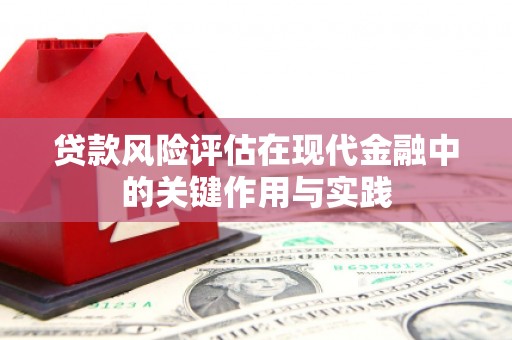 新园贷款风险评估在现代金融中的关键作用与实践