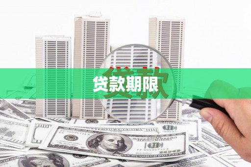 新园贷款期限