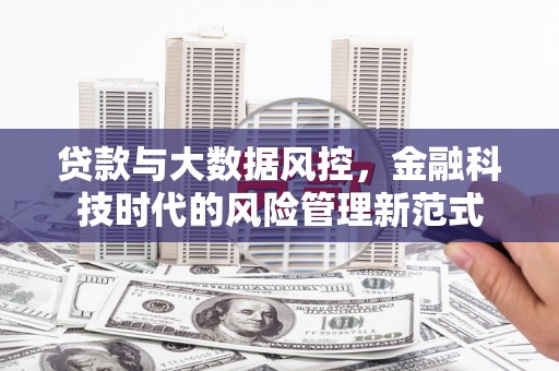 新园贷款与大数据风控，金融科技时代的风险管理新范式