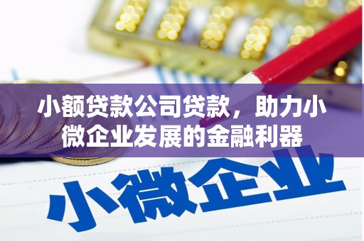 新园小额贷款公司贷款，助力小微企业发展的金融利器