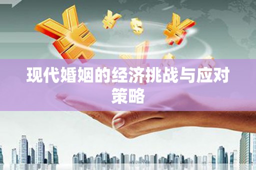 新园现代婚姻的经济挑战与应对策略