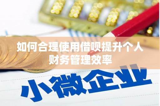 新园如何合理使用借呗提升个人财务管理效率