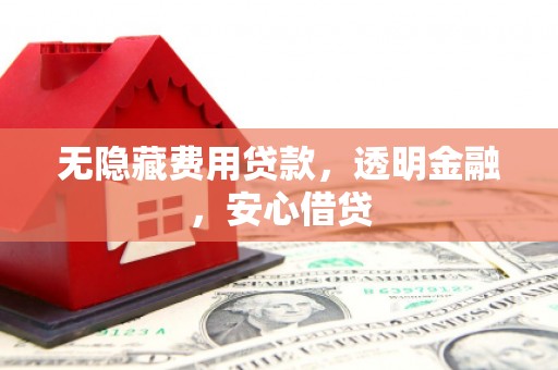 新园无隐藏费用贷款，透明金融，安心借贷