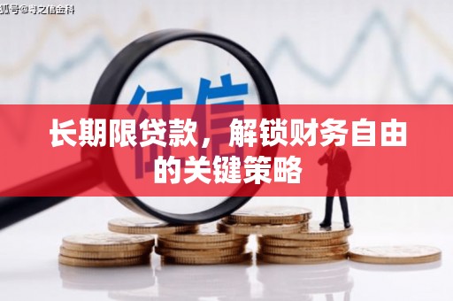 新园长期限贷款，解锁财务自由的关键策略