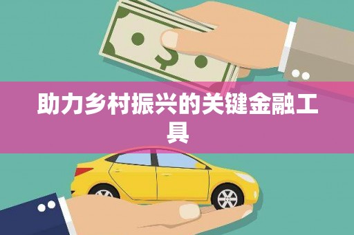 新园助力乡村振兴的关键金融工具
