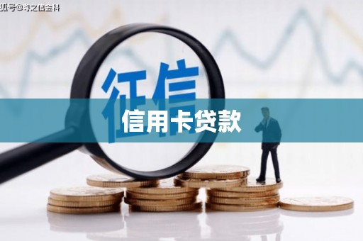 新园信用卡贷款