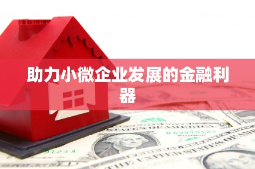 新园助力小微企业发展的金融利器