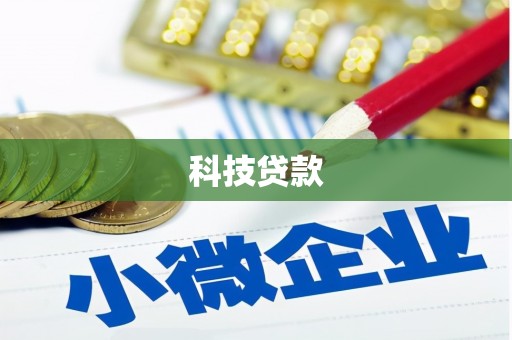 新园科技贷款