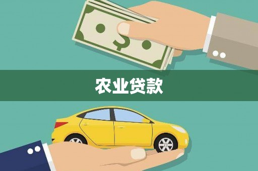 新园农业贷款