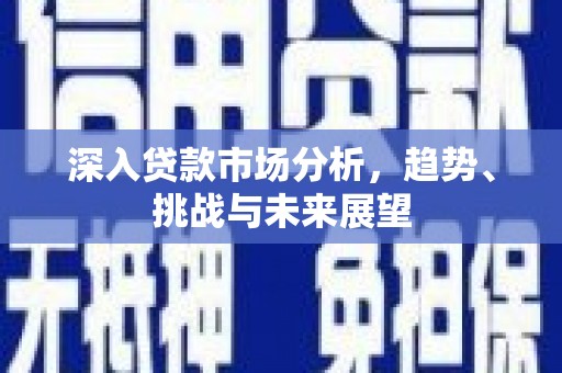 新园深入贷款市场分析，趋势、挑战与未来展望
