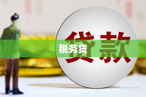 新园税务贷