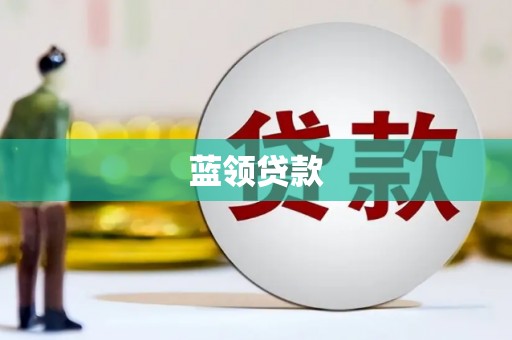 新园蓝领贷款