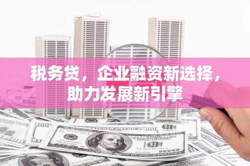 新园税务贷，企业融资新选择，助力发展新引擎