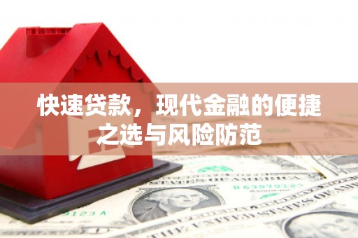新园快速贷款，现代金融的便捷之选与风险防范