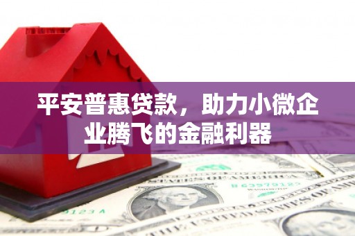 新园平安普惠贷款，助力小微企业腾飞的金融利器