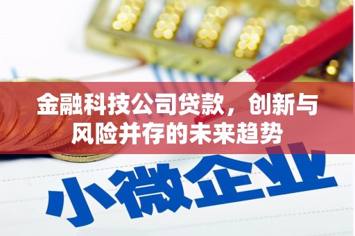 新园金融科技公司贷款，创新与风险并存的未来趋势