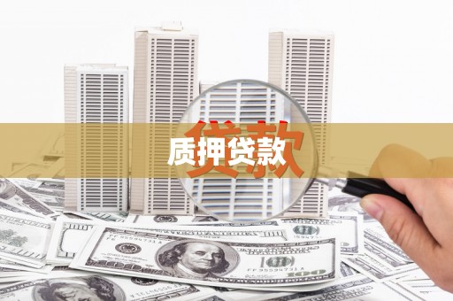 新园质押贷款