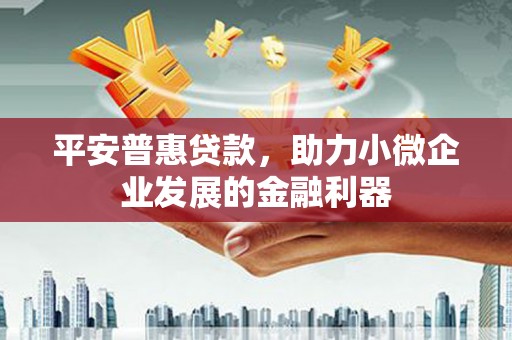 新园平安普惠贷款，助力小微企业发展的金融利器