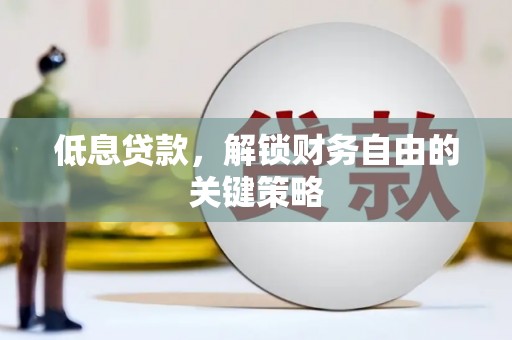 新园低息贷款，解锁财务自由的关键策略