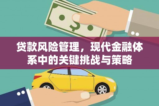 新园贷款风险管理，现代金融体系中的关键挑战与策略