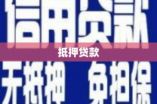 新园抵押贷款