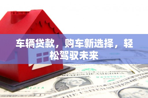新园车辆贷款，购车新选择，轻松驾驭未来