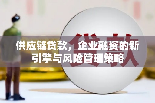 新园供应链贷款，企业融资的新引擎与风险管理策略