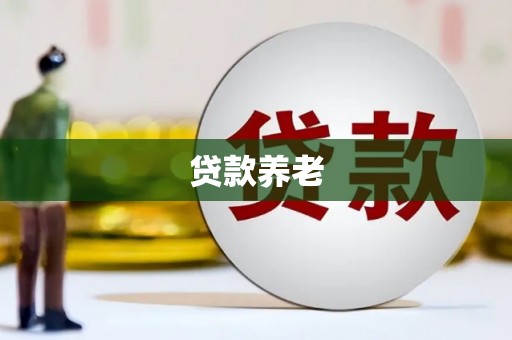 新园贷款养老
