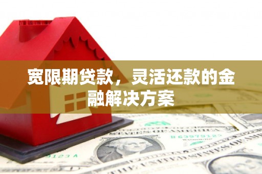 新园宽限期贷款，灵活还款的金融解决方案