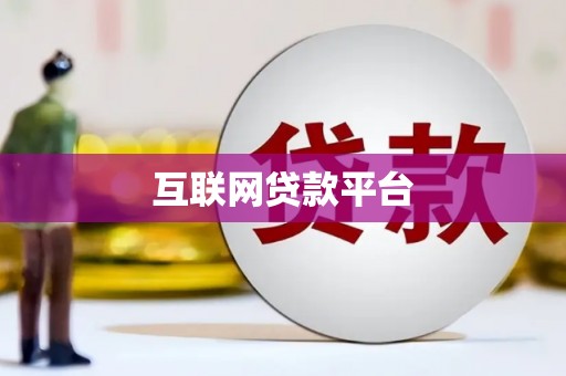 新园互联网贷款平台