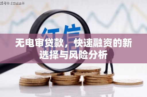 新园无电审贷款，快速融资的新选择与风险分析