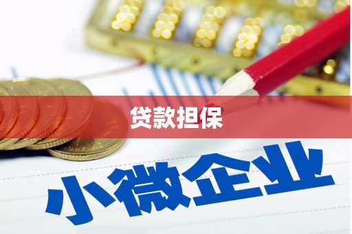 新园贷款担保