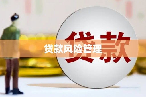 新园贷款风险管理