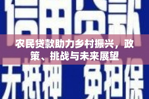 新园农民贷款助力乡村振兴，政策、挑战与未来展望