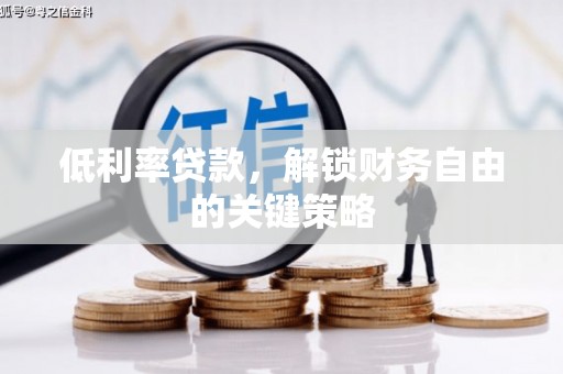 新园低利率贷款，解锁财务自由的关键策略