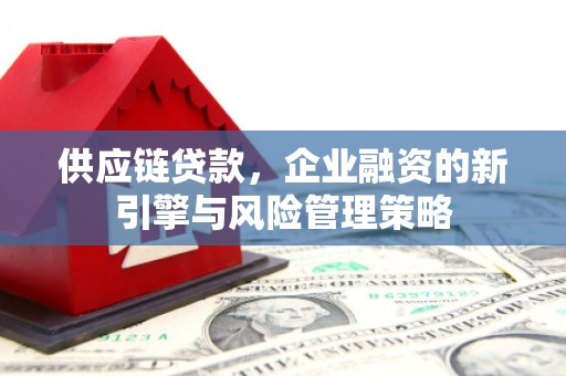 新园供应链贷款，企业融资的新引擎与风险管理策略