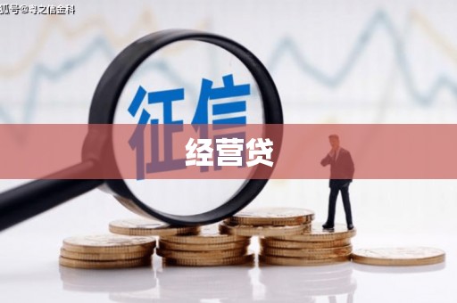新园经营贷