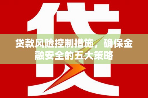 新园贷款风险控制措施，确保金融安全的五大策略